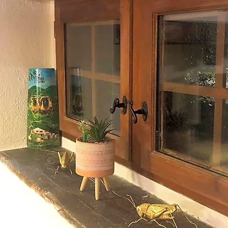 Bed & Breakfast Maison 