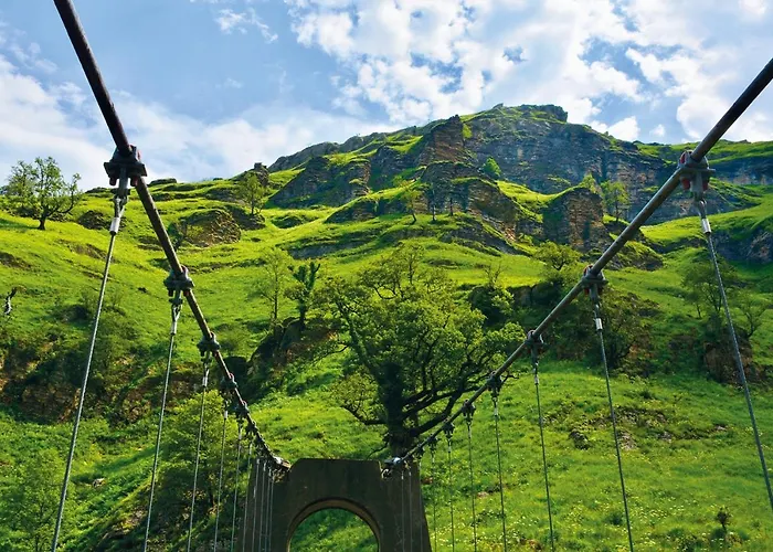 Bed & Breakfast Maison 